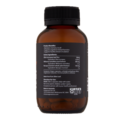 Anagenesis Olive Leaf + Cognitive + Memory 60 Capsules