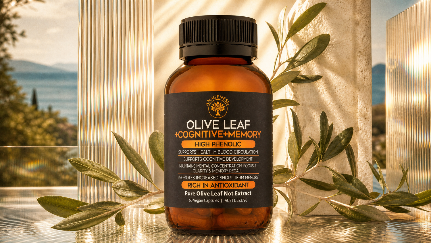 Anagenesis Olive Leaf + Cognitive + Memory 60 Capsules