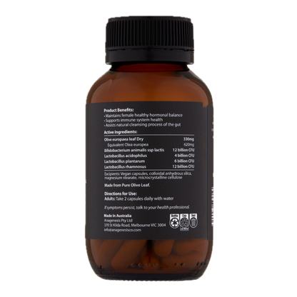 Anagenesis Olive Leaf + Probiotic Gut Health. 60 capsules