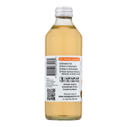 Anagenesis Olive Leaf Sparkling Iced Tea Pine Mango 12 Pack