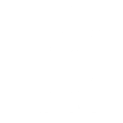 Anagenesis
