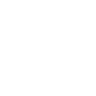 Anagenesis